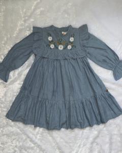 Blue day dream embroidered frock
