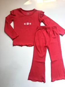 Crimson daisy embroidered co-ord
